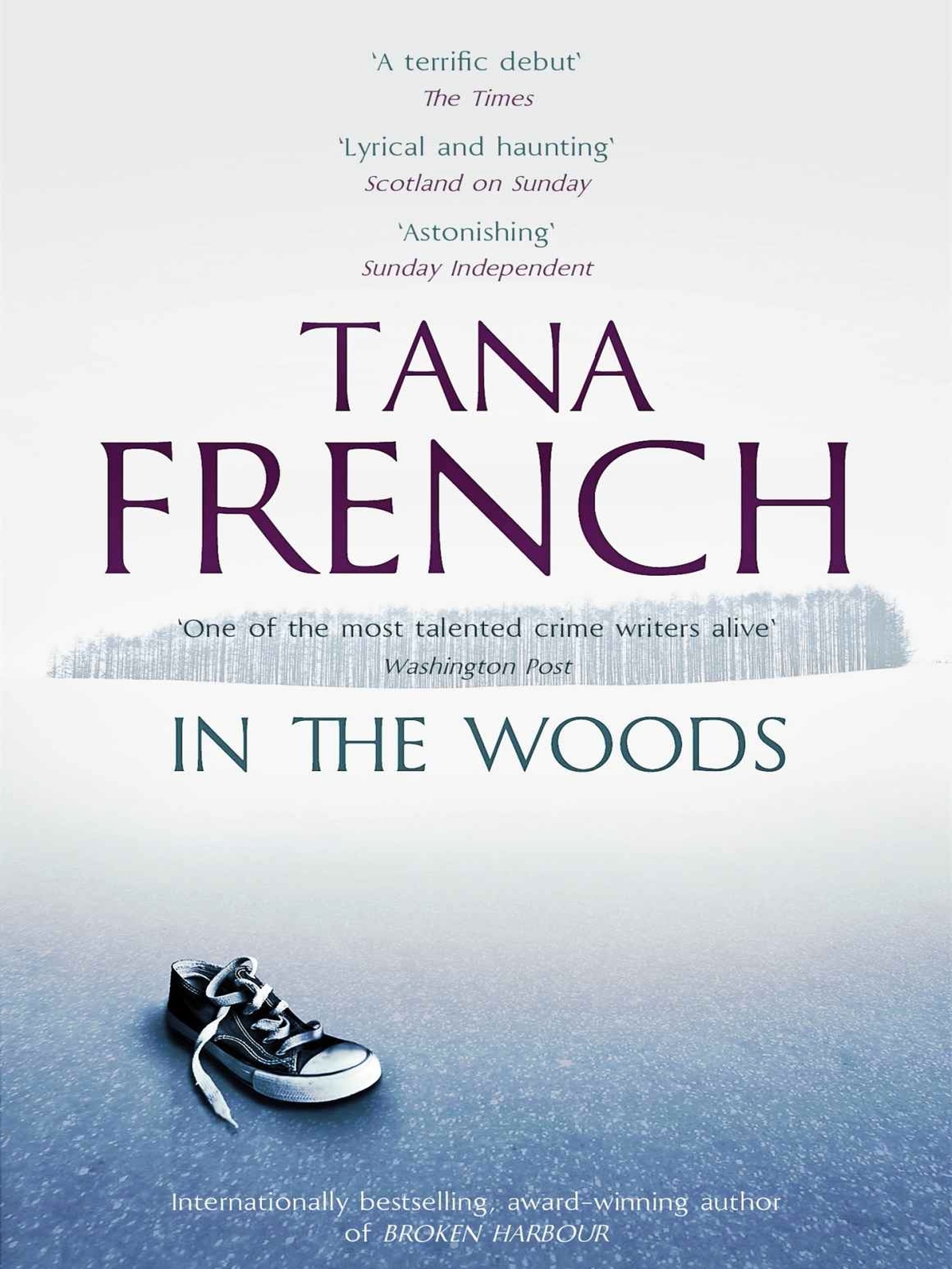 In The Woods Dublin Murder Squad 01 Tana French