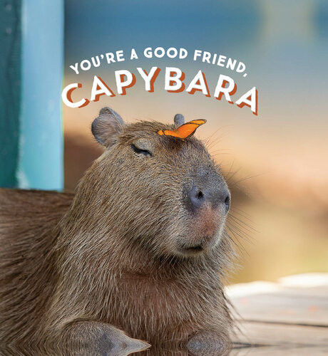Youre A Good Friend Capybara Chronicle Books