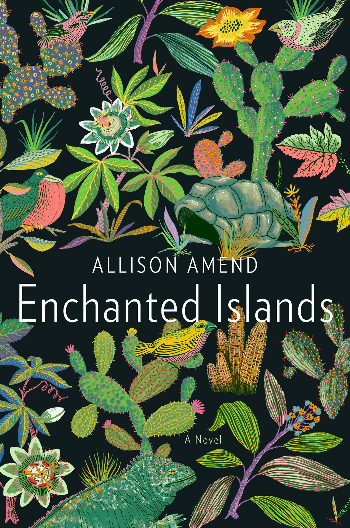 Enchanted Islands Allison Amend Amend Allison