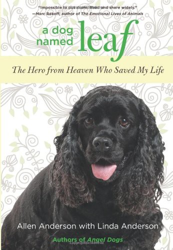 A Dog Named Leaf The Hero From Heaven Who Saved My Life Allen Anderson Linda Anderson Anderson