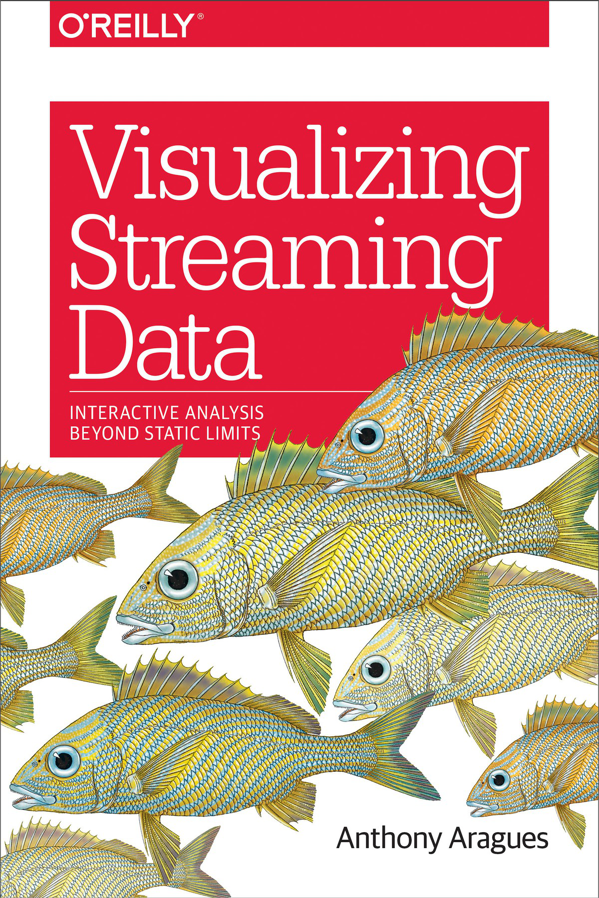 Visualizing Streaming Data Interactive Analysis Beyond Static Limits Anthony Aragues Aragues