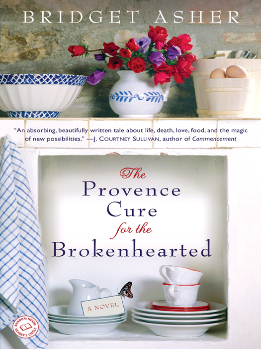 The Provence Cure For The Brokenhearted Bridget Asher Asher