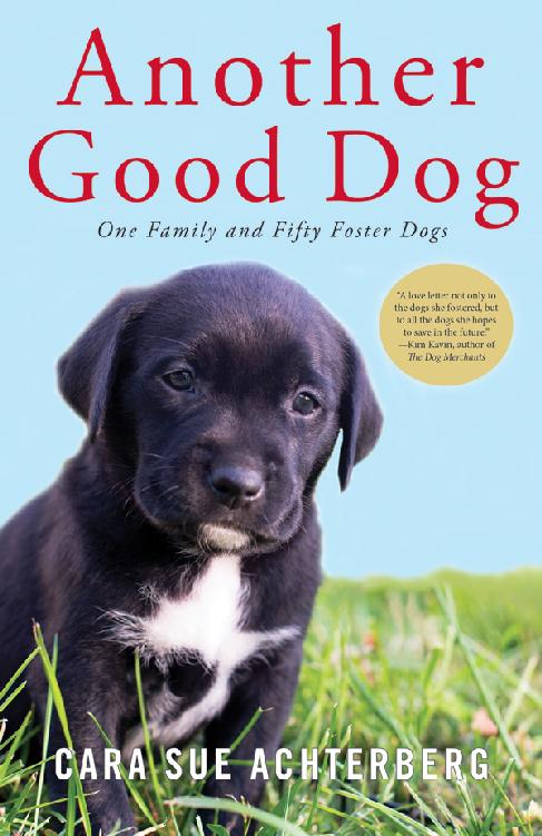 Another Good Dog Cara Sue Achterberg Achterberg Cara Sue