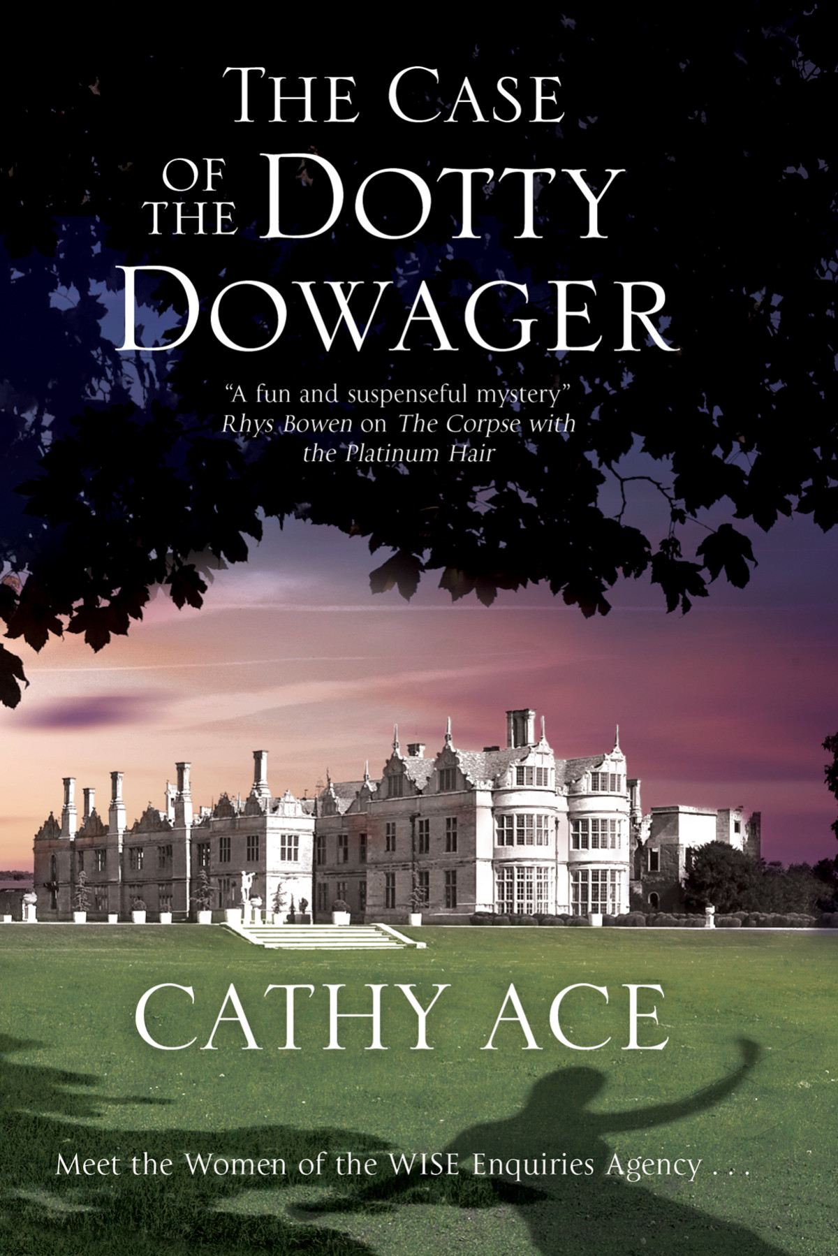 The Case Of The Dotty Dowager Wise Enquiries Agency 1 Cathy Ace