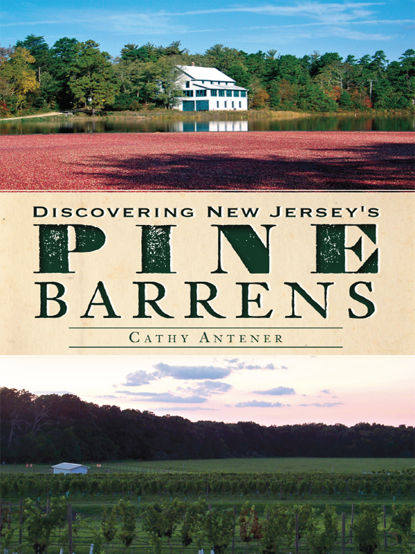 Discovering New Jerseys Pine Barrens Cathy Antener Antener
