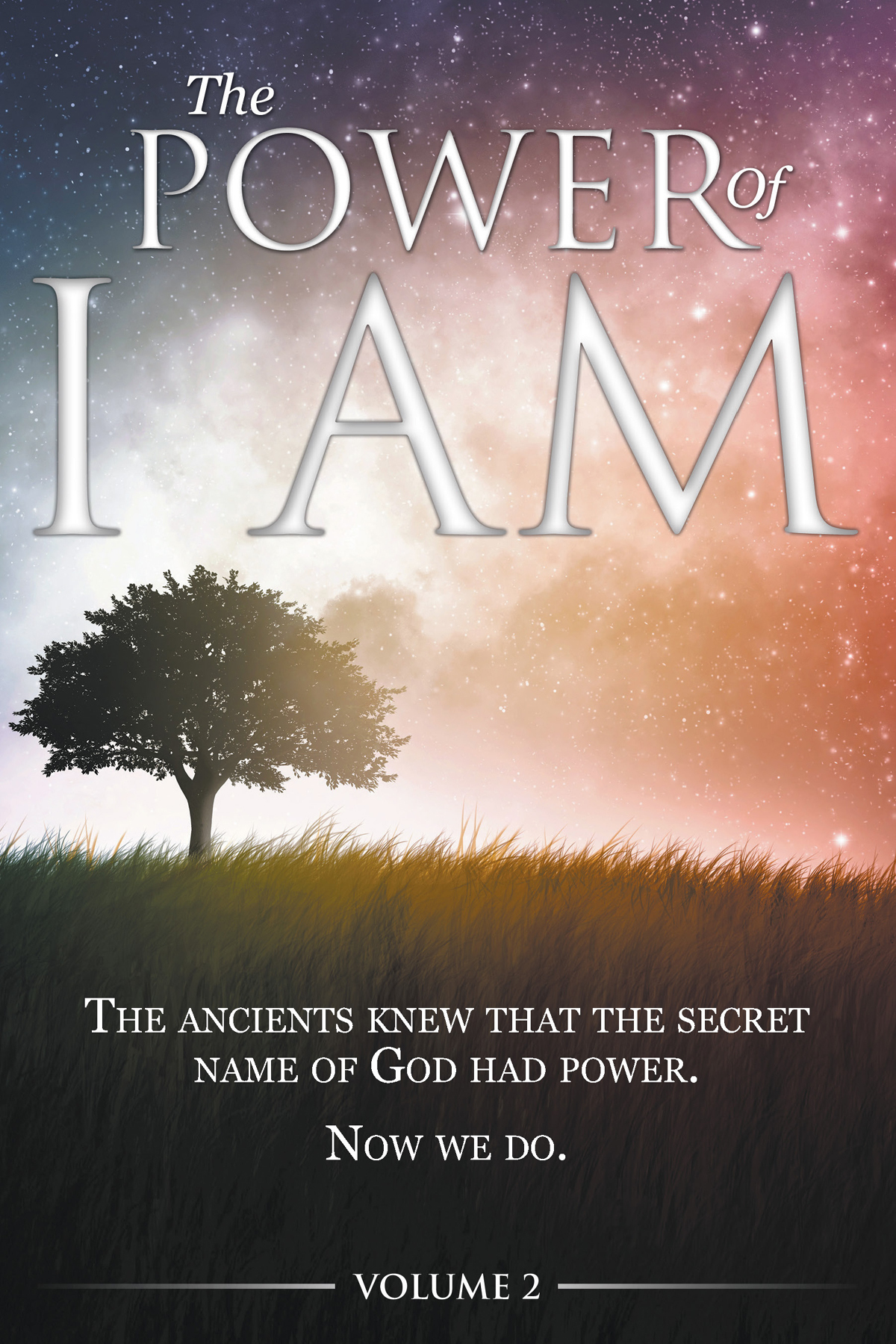 The Power Of I Am Volume 23 David Allen