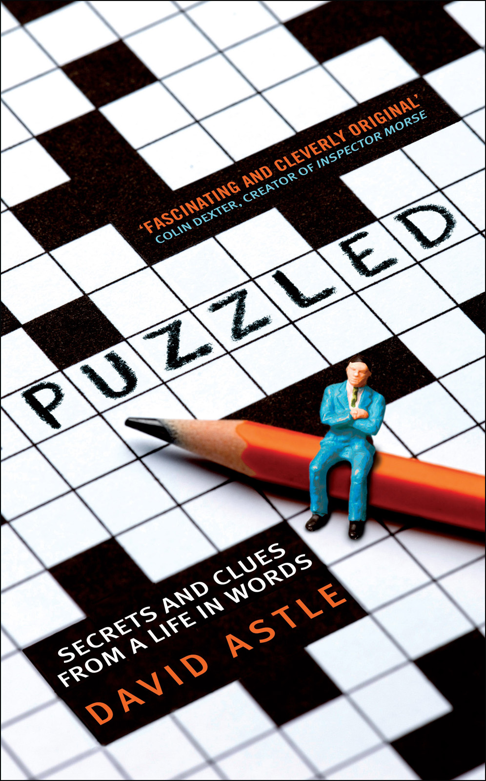 Puzzled David Astle Astle David