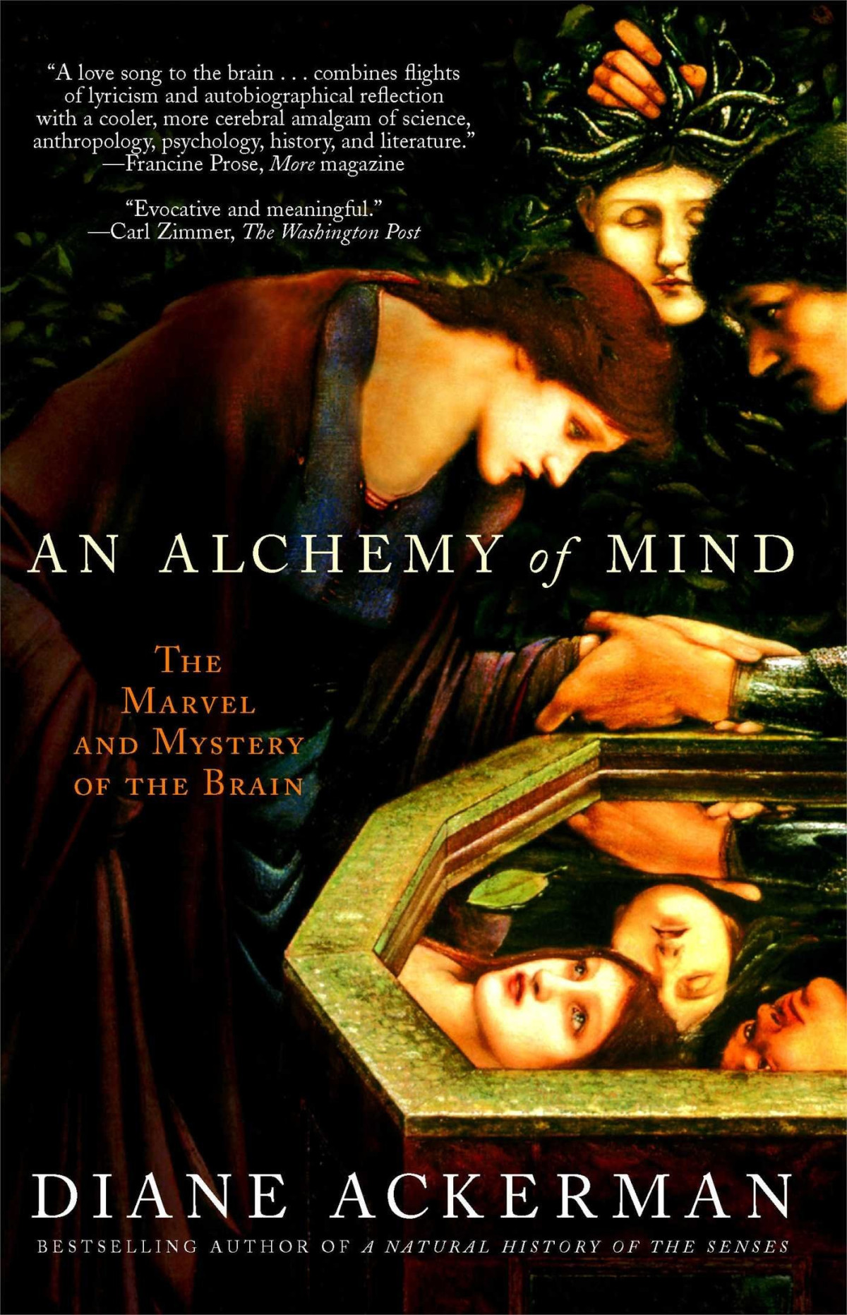 An Alchemy Of Mind The Marvel And Mystery Of The Brain Diane Ackerman Ackerman