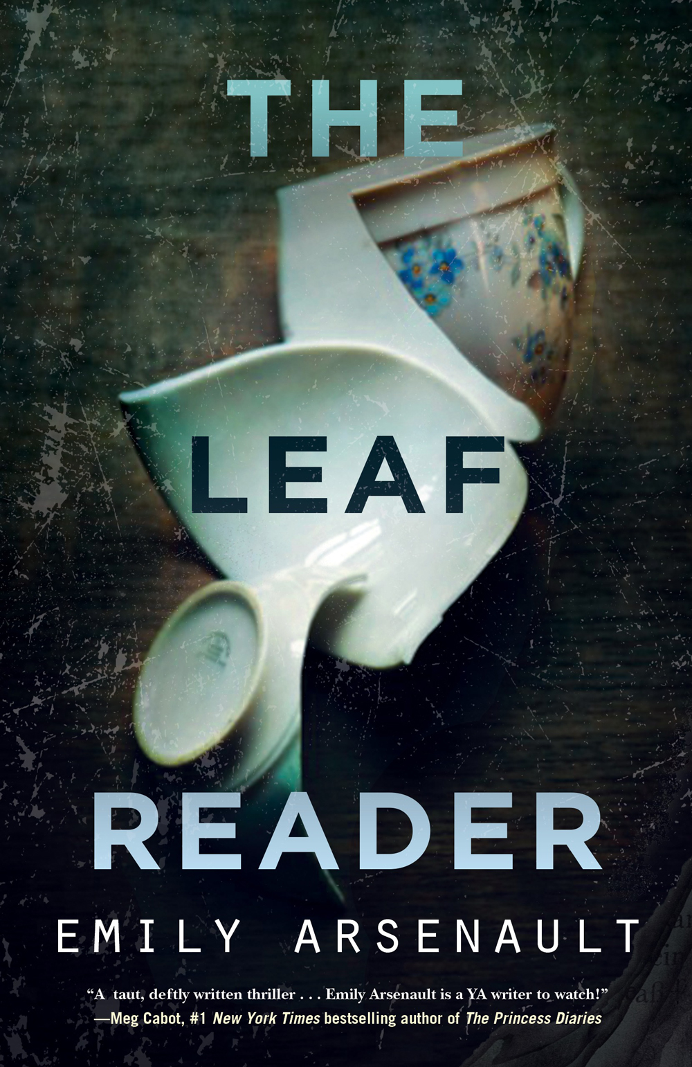 The Leaf Reader Emily Arsenault Arsenault Emily