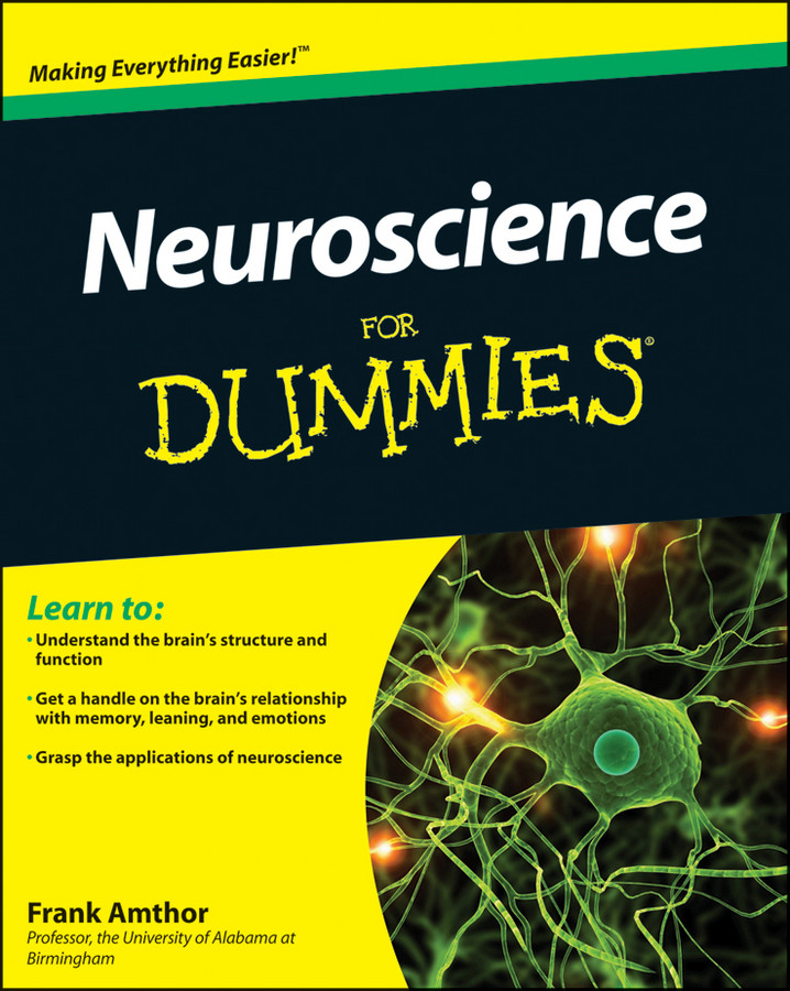 Neuroscience For Dummies Frank Amthor Amthor Frank