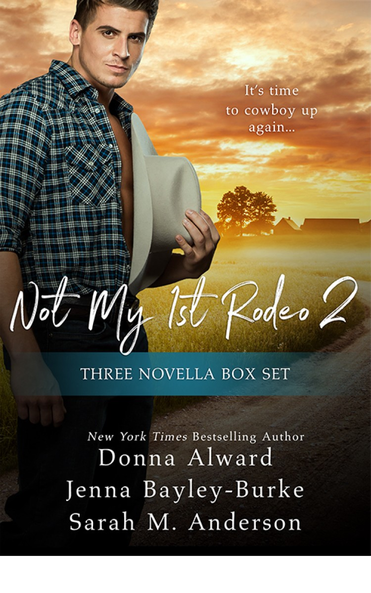 Not My First Rodeo 2 Boxed Set Donna Alward Alward Donna