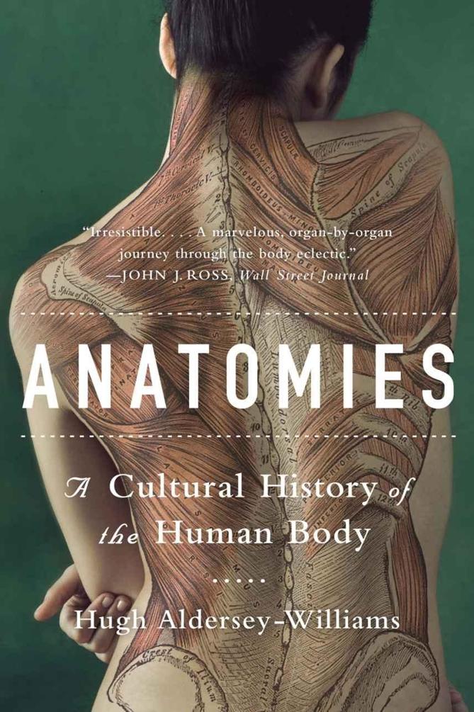 Anatomies A Cultural History Of The Human Body Hugh Alderseywilliams Alderseywilliams