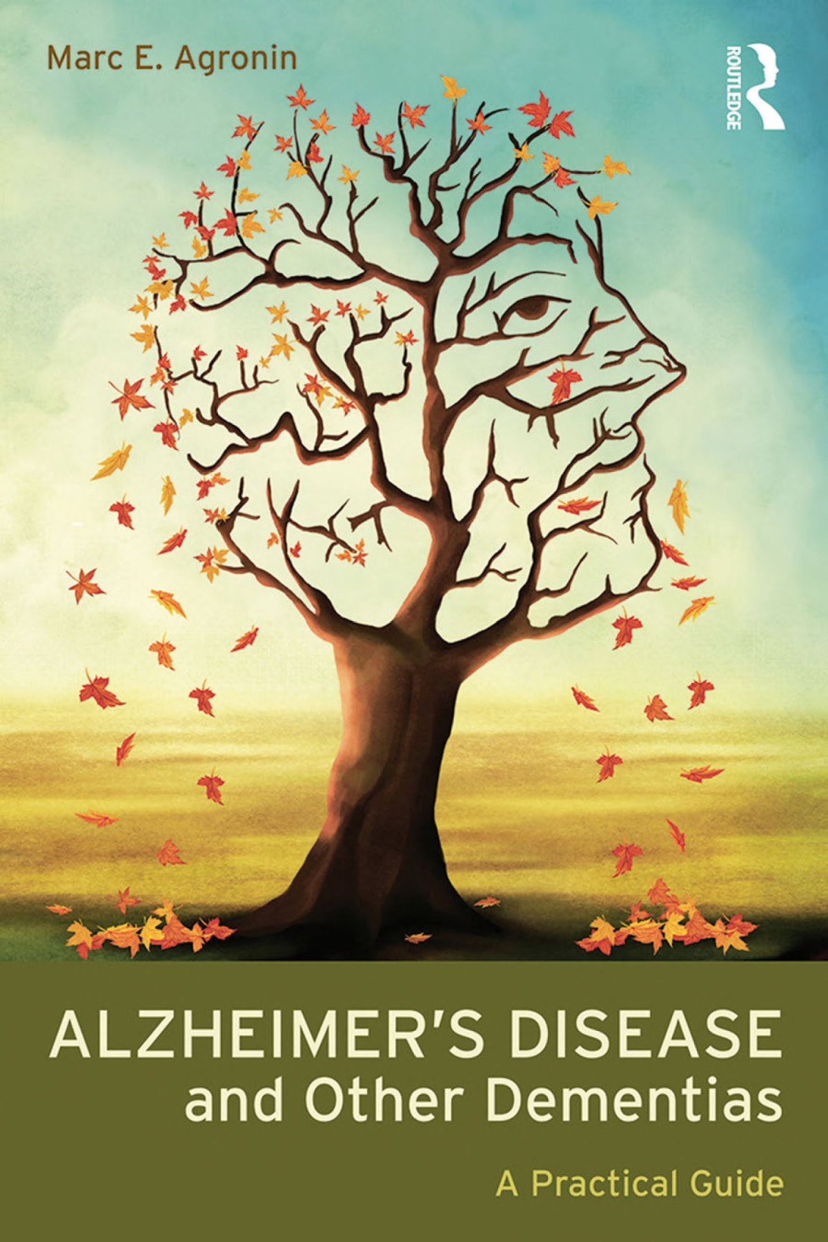 Alzheimers Disease And Other Dementias A Practical Guide Marc E Agronin Agronin