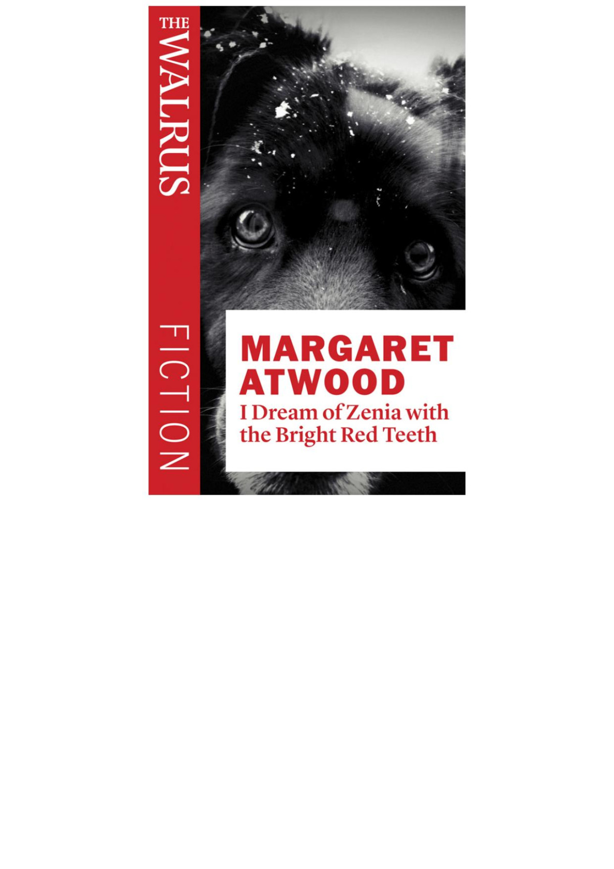 I Dream Of Zenia With The Bright Red Teeth Margaret Atwood Atwood