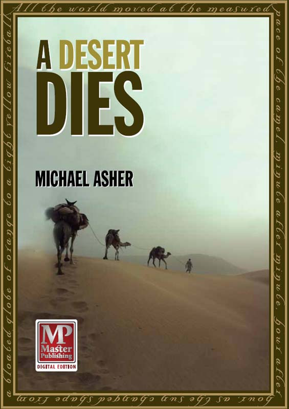 A Desert Dies Michael Asher