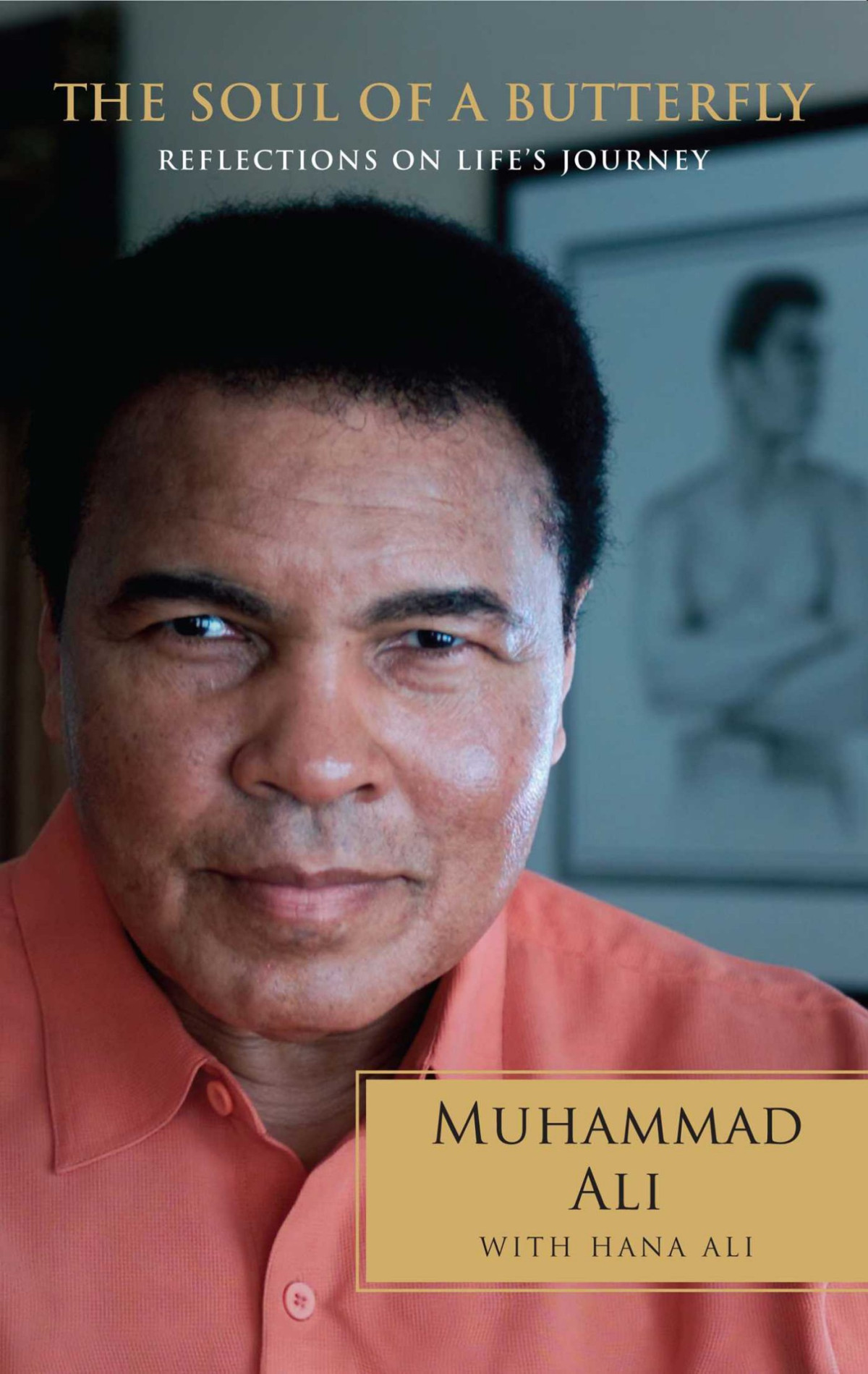 The Soul Of A Butterfly Muhammad Ali Hana Ali Ali Muhammad Ali