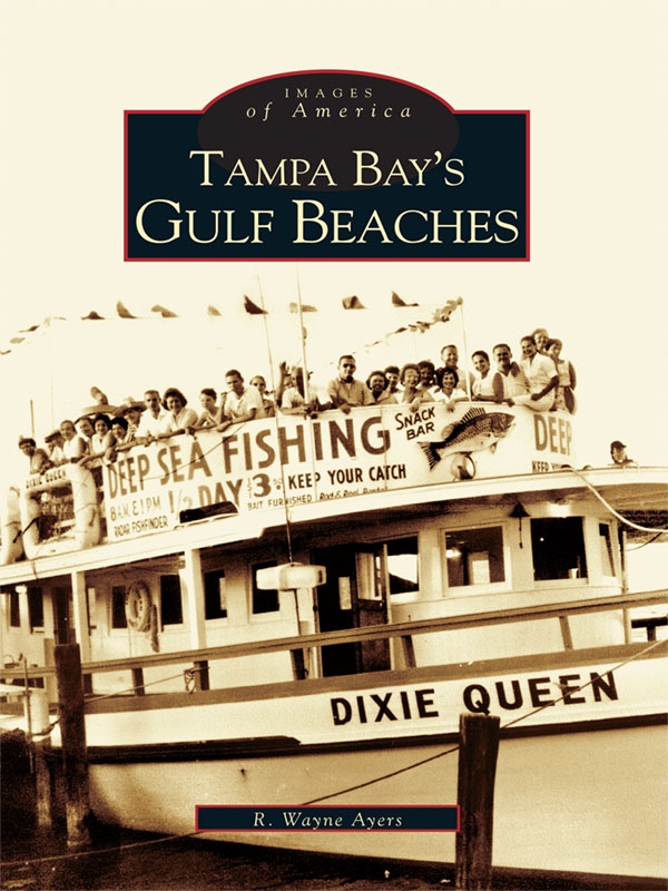 Tampa Bays Gulf Beaches R Wayne Ayers Ayers R Wayne