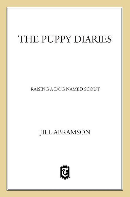 The Puppy Diaries Raising A Dog Named Scout Abramson Jill Abramson