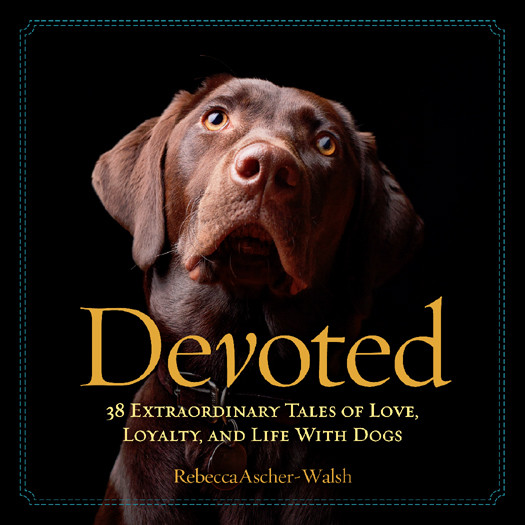 Devoted Rebecca Ascherwalsh Ascherwalsh Rebecca