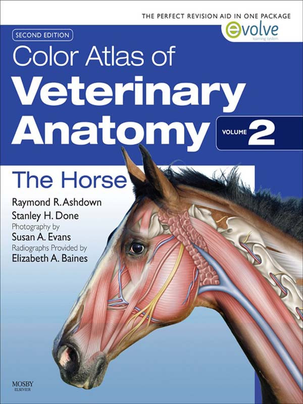 Color Atlas Of Veterinary Anatomy Volume 2 The Horse Raymond R Ashdown Stanley H Done Ashdown