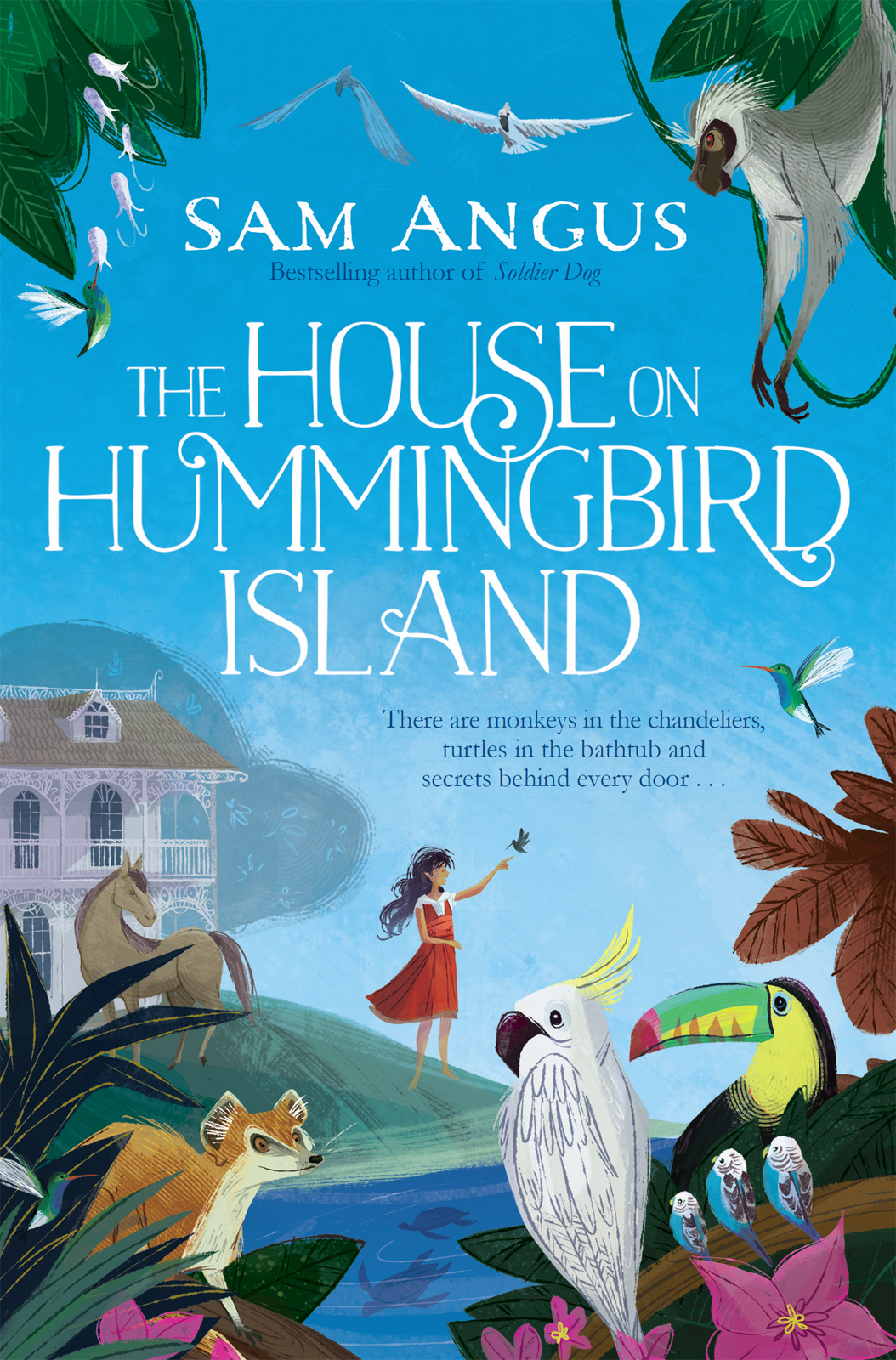 The House On Hummingbird Island Sam Angus Angus Sam