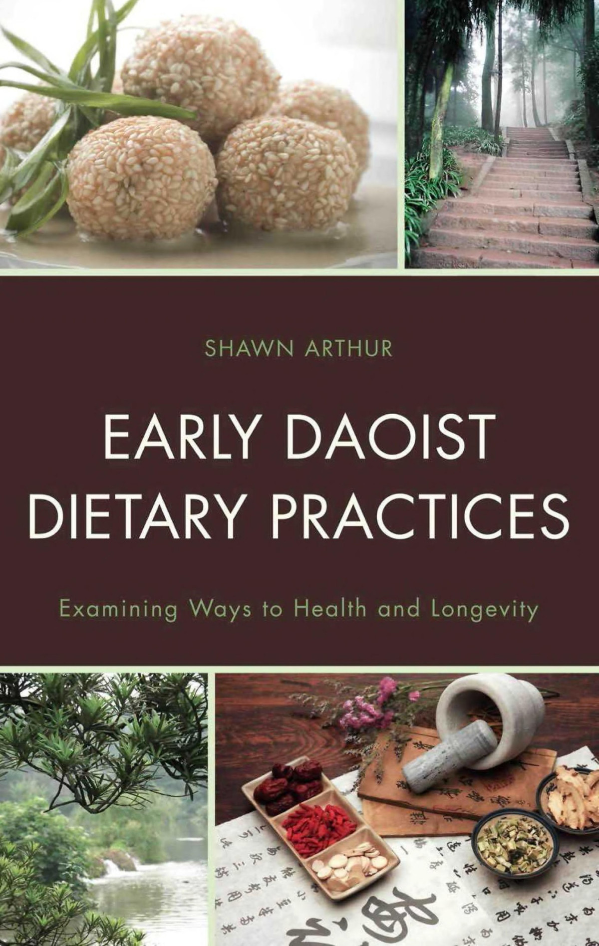 Early Daoist Dietary Practices Examining Ways To Health And Longevity Shawn Arthur Arthur