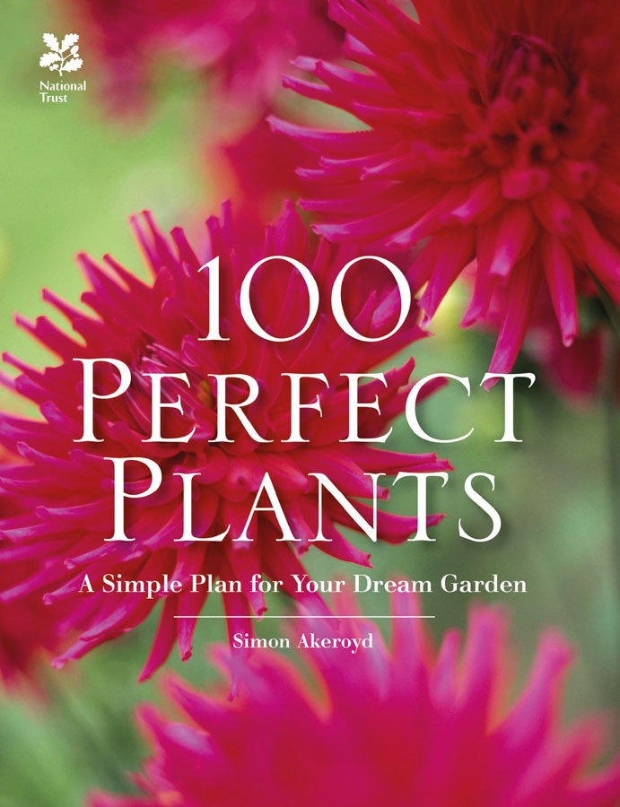 100 Perfect Plants A Simple Plan For Your Dream Garden Simon Akeroyd Akeroyd