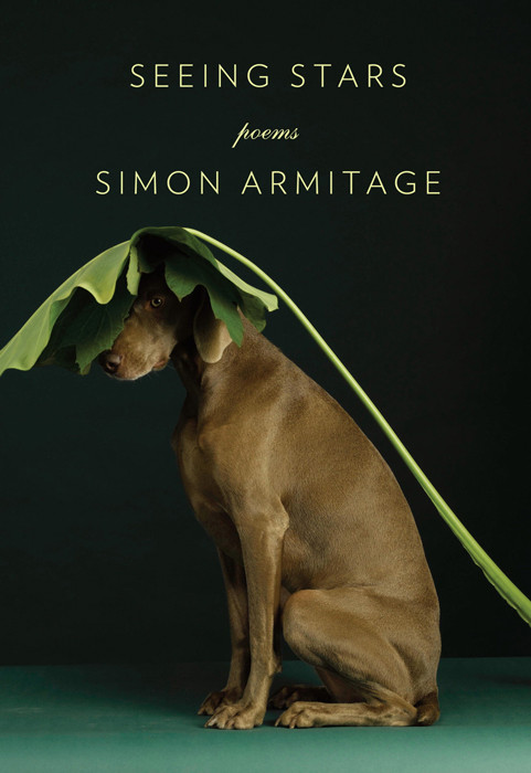 Seeing Stars Simon Armitage Armitage Simon