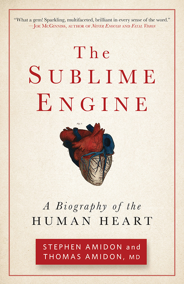 The Sublime Engine Stephen Amidon Amidon Stephen