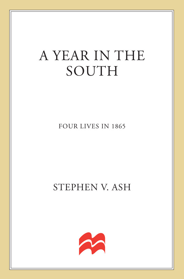 A Year In The South Stephen V Ash Ash Stephen V