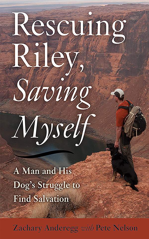Rescuing Riley Saving Myself A Man And His Dogs Struggle To Find Salvation Anderegg