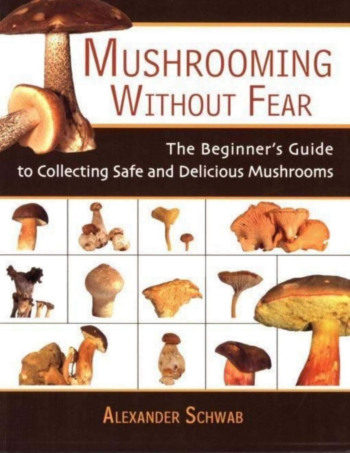 Mushrooming Without Fear The Beginners Guide To Collecting Safe And Delicious Mushrooms Alexander Schwab Schwab