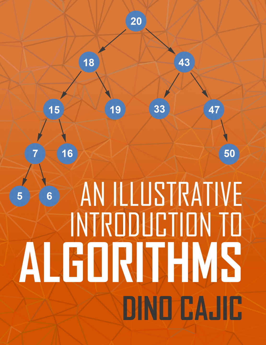 An Illustrative Introduction To Algorithms Cajic Dino Chenjin5com