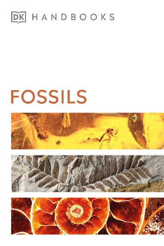 Fossils Dk Smithsonian Handbook Reissue David J Ward