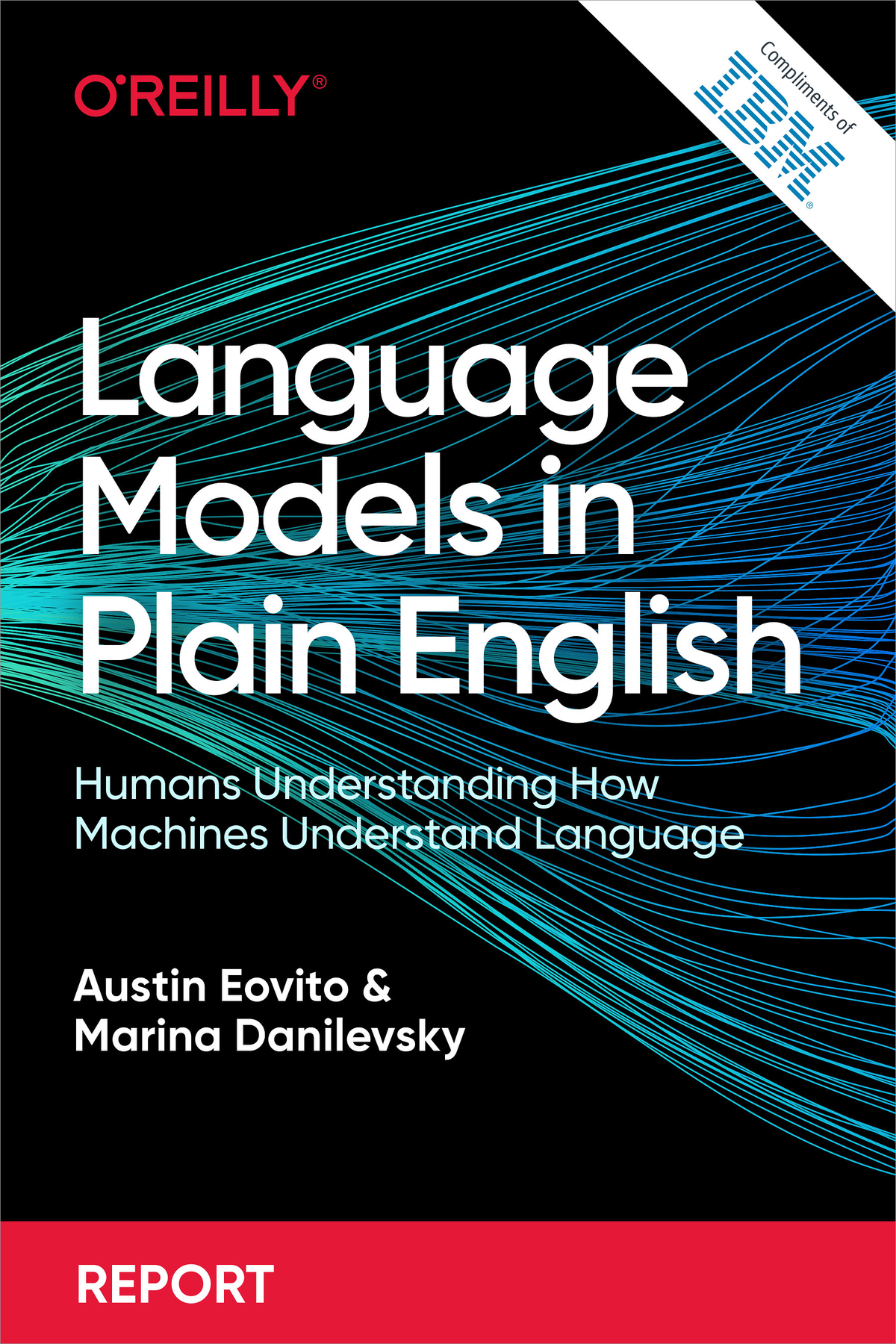 Language Models In Plain English Humans Understanding How Machines Understand Language Austin Eovito Marina Danilevsky