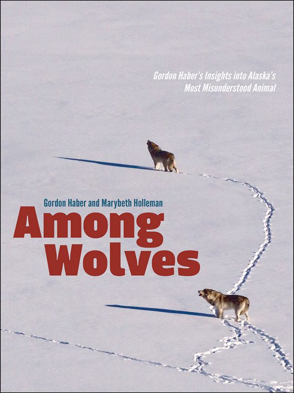 Among Wolves Gordon Habers Insights Into Alaskas Most Misunderstood Animal Gordon Haber