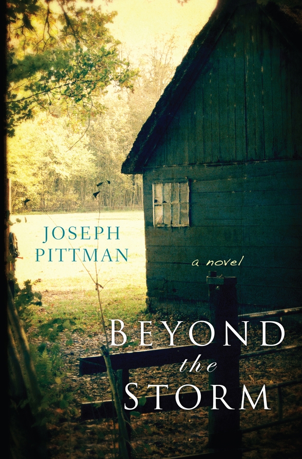 Beyond The Storm