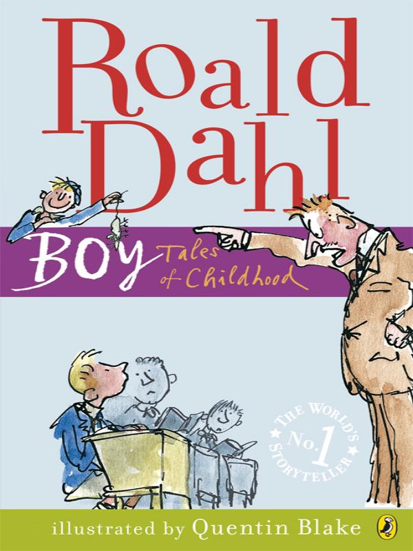 Boy Tales Of Childhood