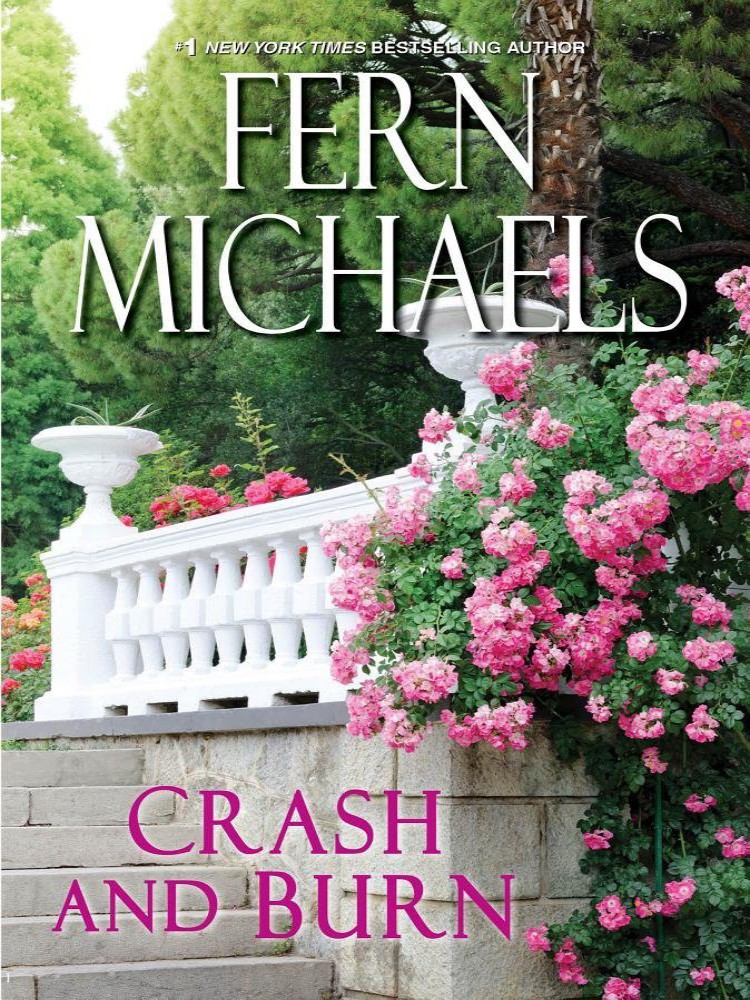 Crash And Burn Michaels Fern
