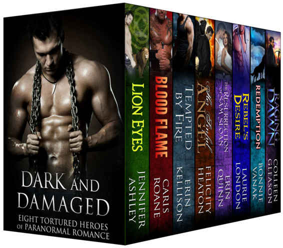 Dark And Damaged Eight Tortured Heroes Of Paranormal Romance Paranormal Romance Boxed Set