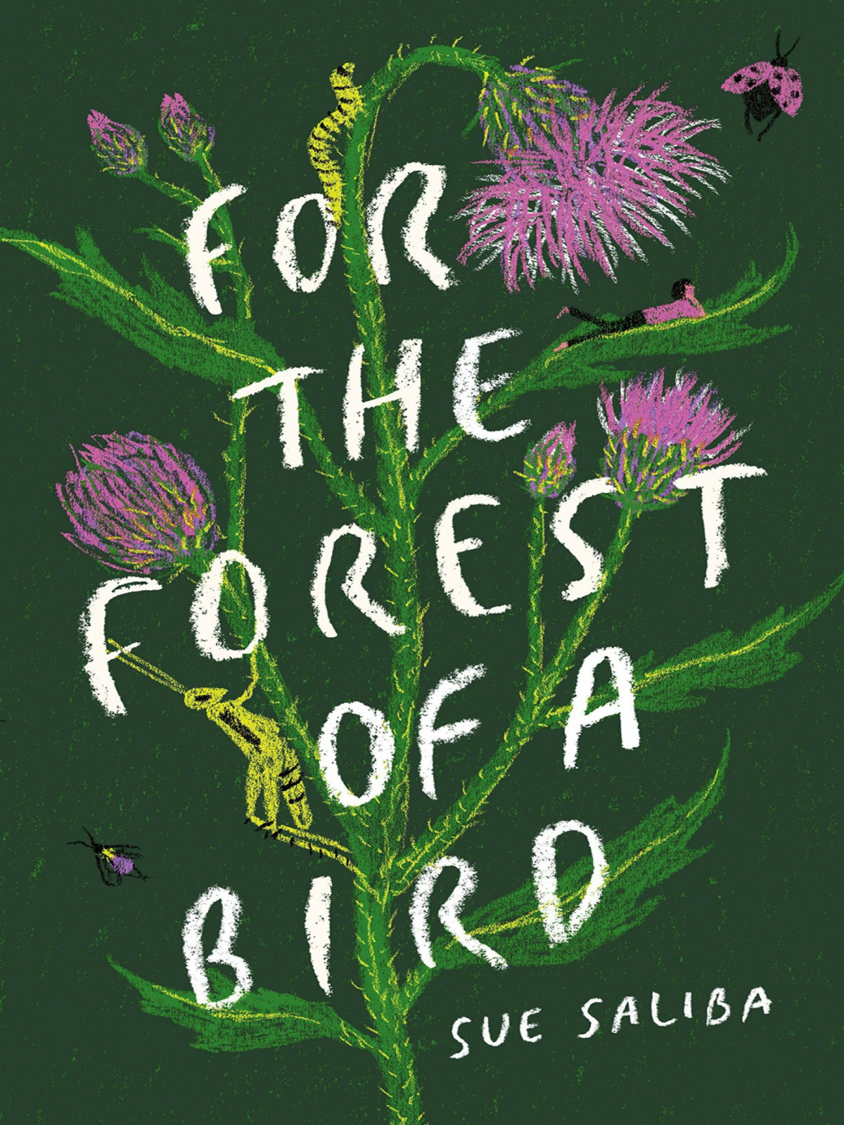 For The Forest Of A Bird