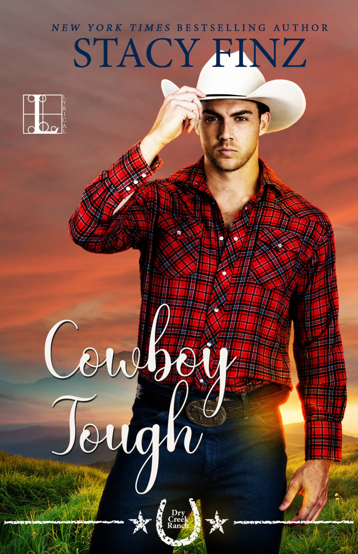 Dry Creek Ranch 02 Cowboy Tough Finz Stacy