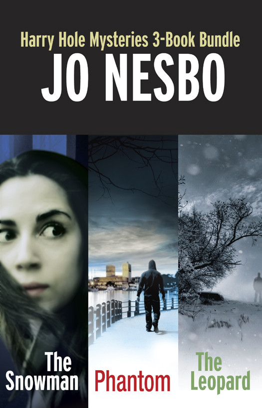 Harry Hole Mysteries 3book Bundle