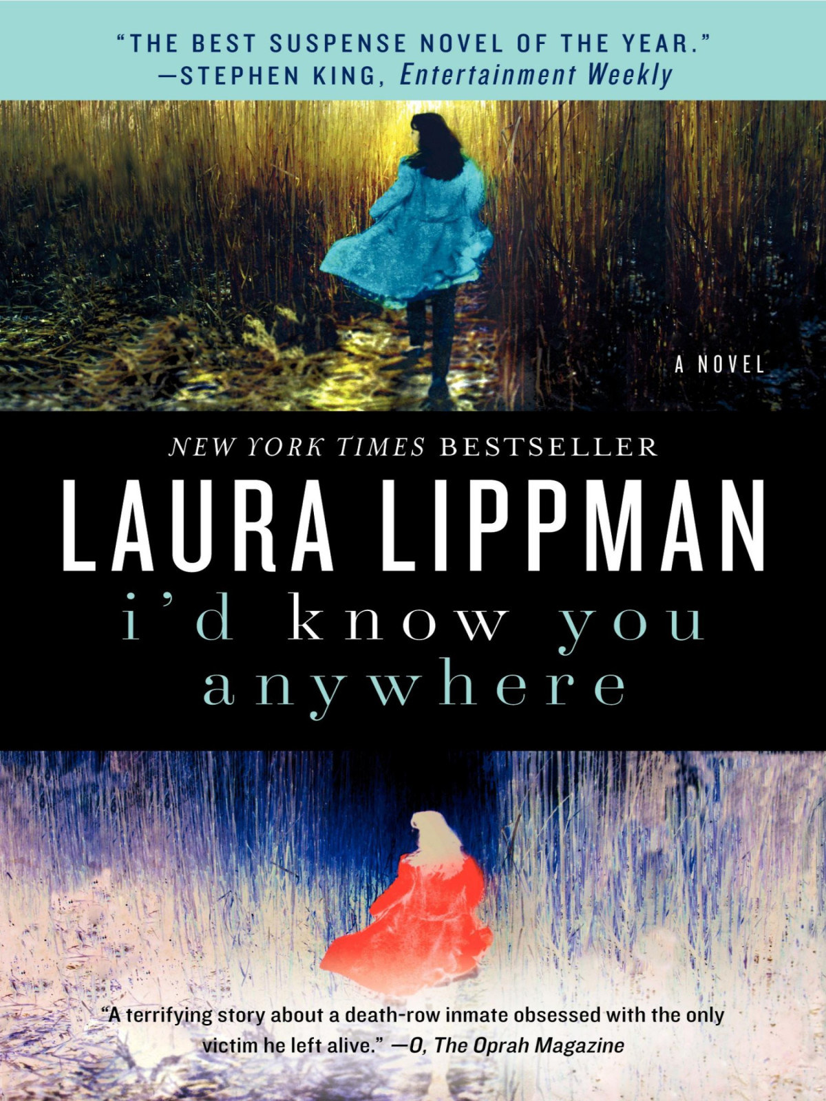 Id Know You Anywhere Laura Lippman