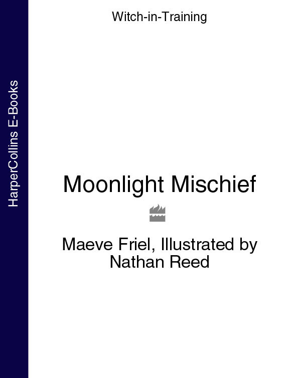 Moonlight Mischief Witchintraining Book 7