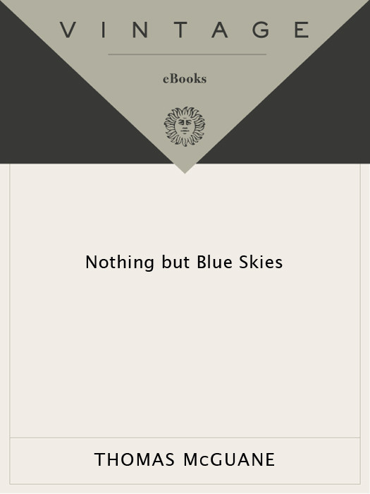 Nothing But Blue Skies