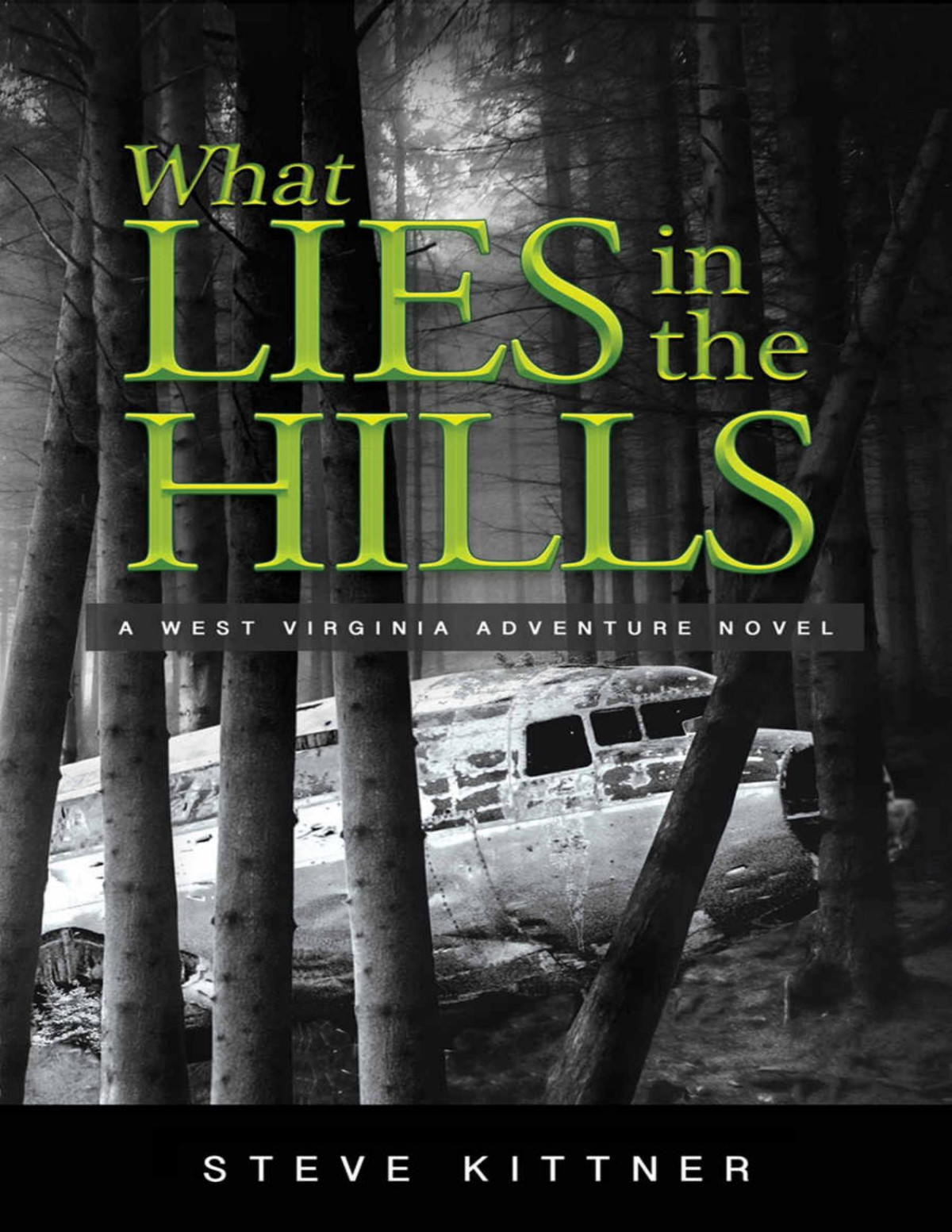 What Lies Adventure Mystery 02 What Lies In The Hills Steve Kittner