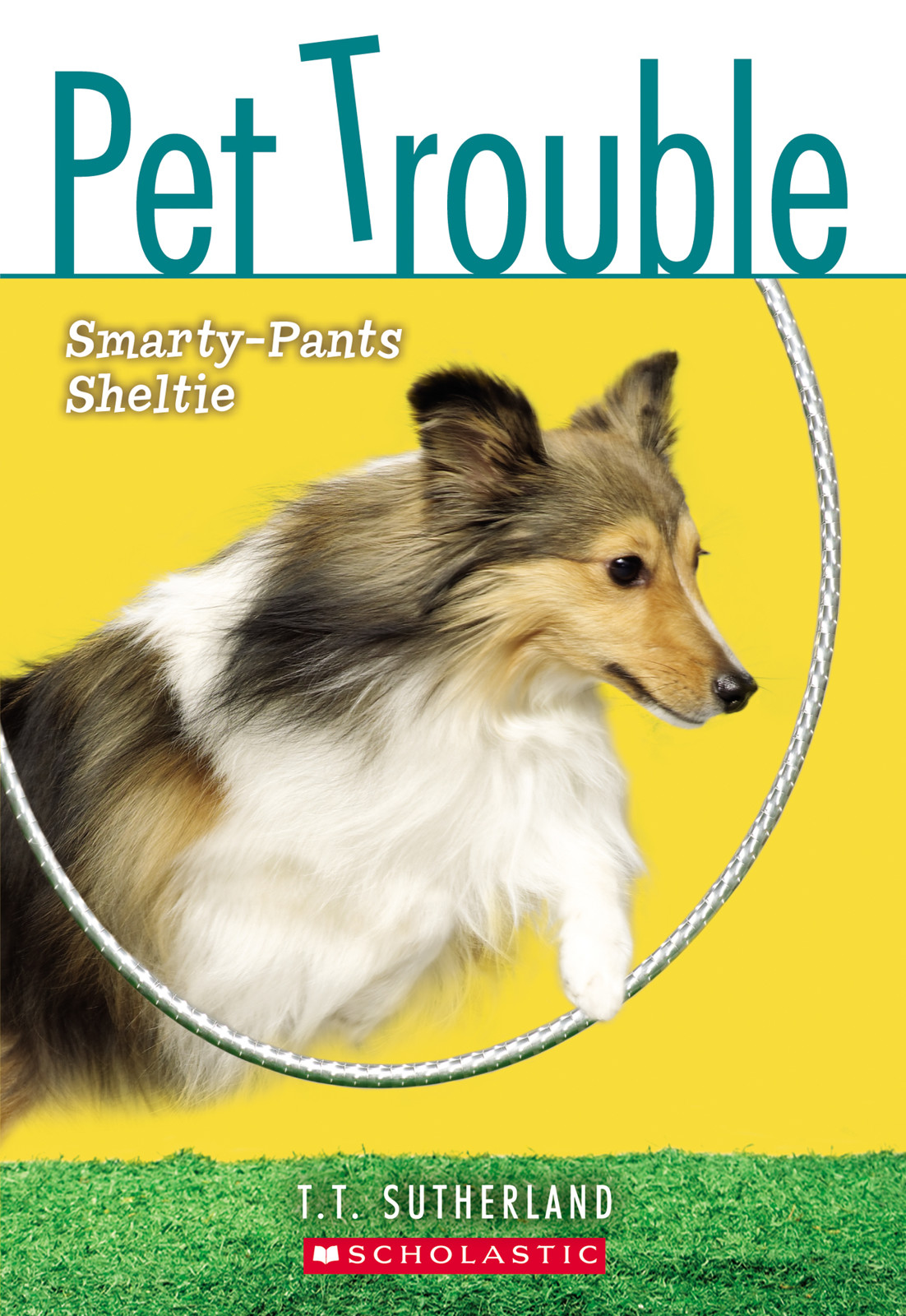 Smartypants Sheltie