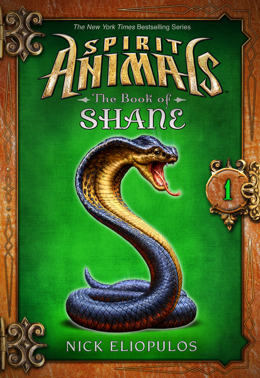 The Book Of Shane Vol 1