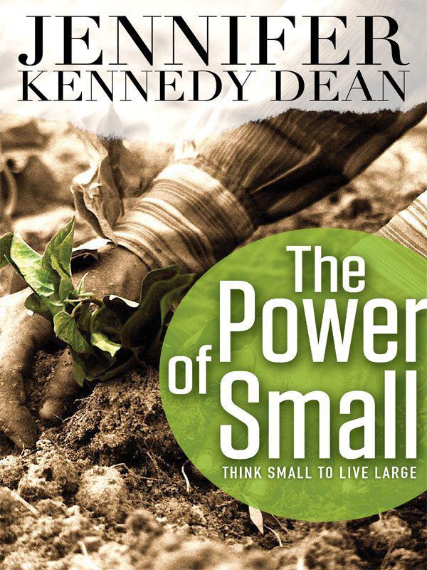 The Power Of Small Think Small To Live Large